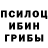 Псилоцибиновые грибы Cubensis FlyArystan