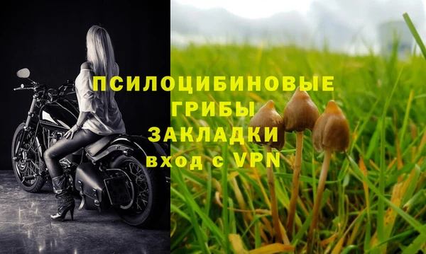 mdma Дмитриев