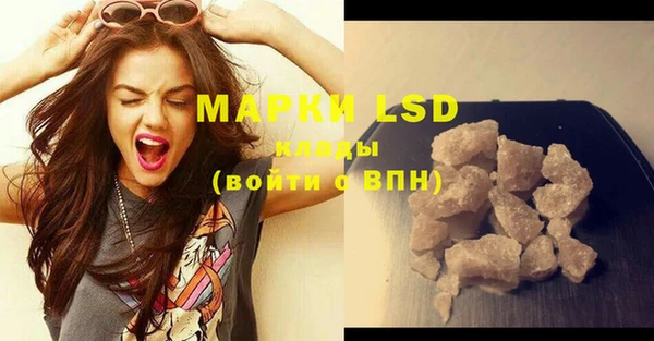 шишки Ельня