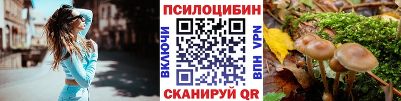 Галлюциногенные грибы Psilocybine cubensis  Купить  Ревда 
